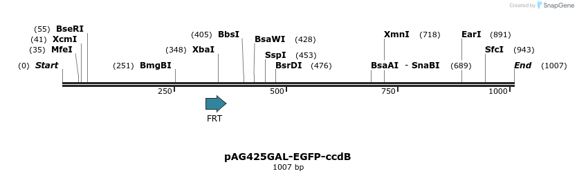 128607_map