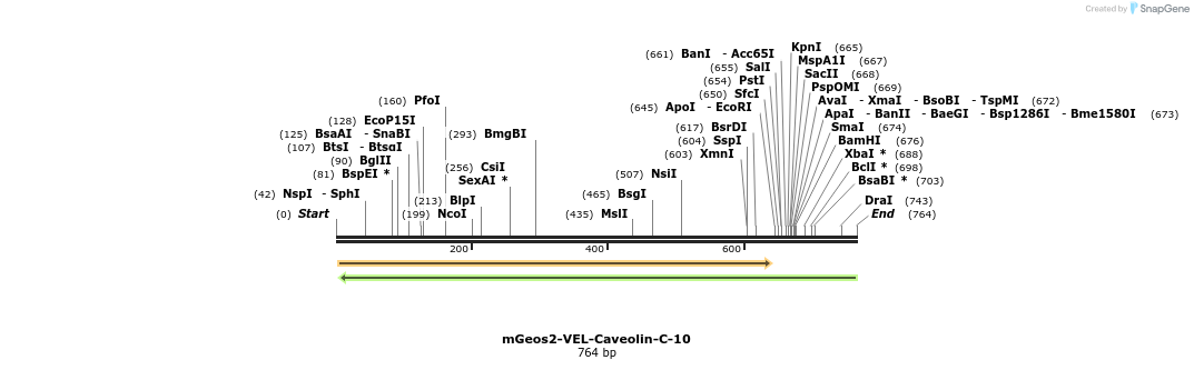 128608_map