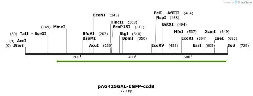 128609_map