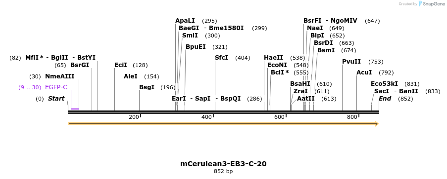 128610_map