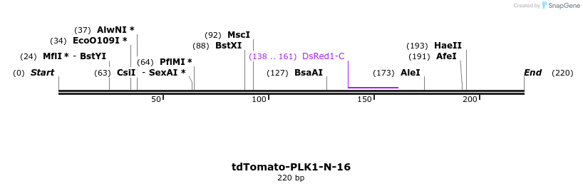128611_map