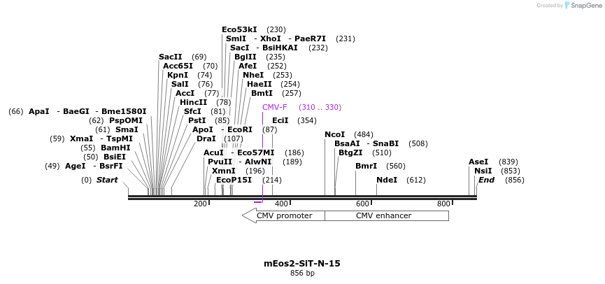 128614_map