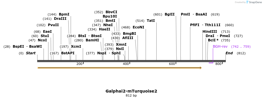 128619_map