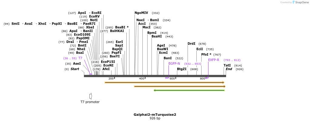 128622_map