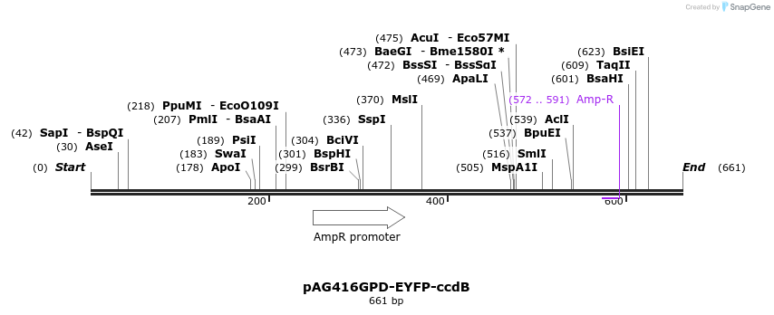 128624_map