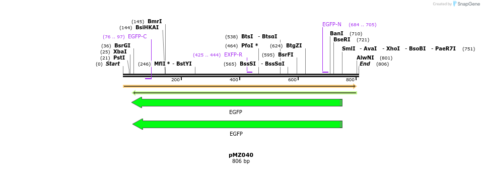 128626_map