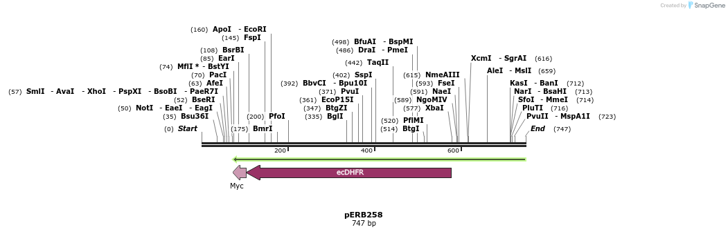 128631_map
