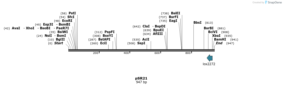 128632_map