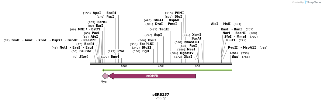 128633_map