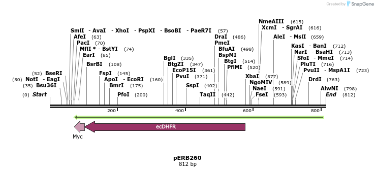 128636_map