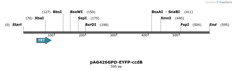 128639_map