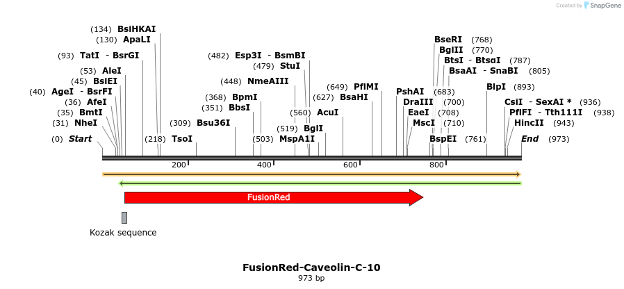 128645_map