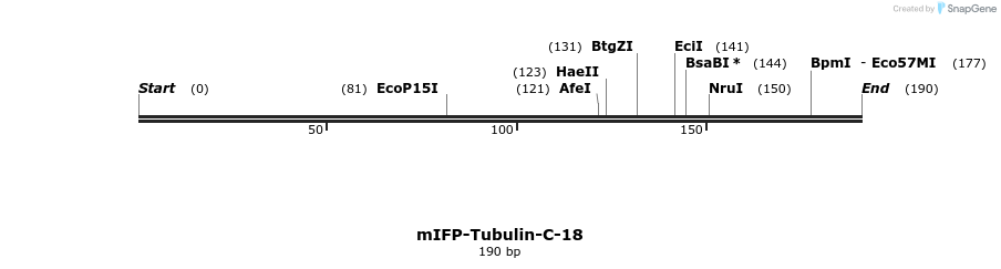 128647_map