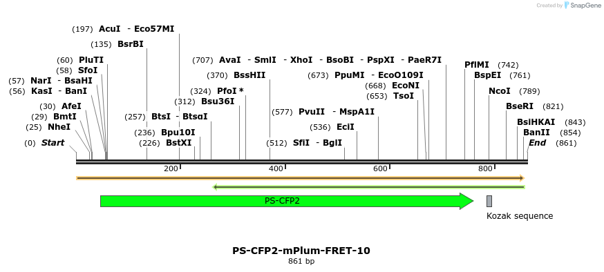 128650_map