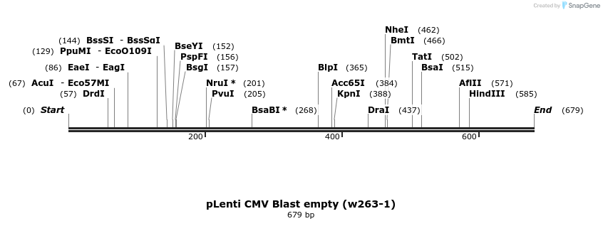 128652_map