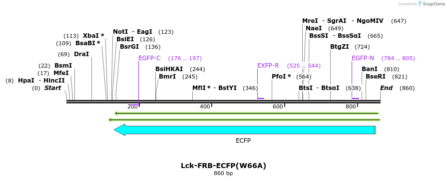 128654_map