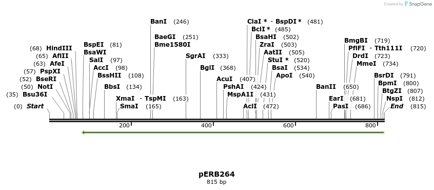 128671_map