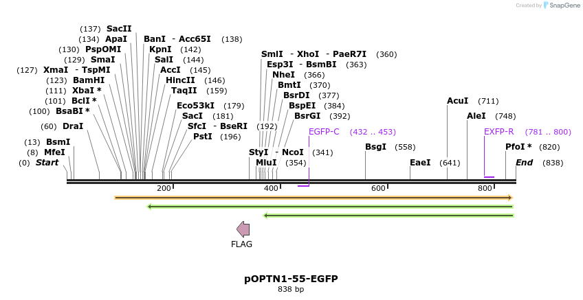 128674_map