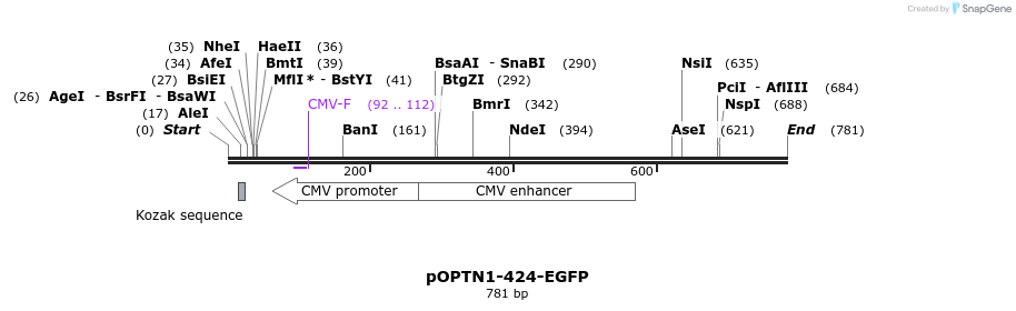 128677_map
