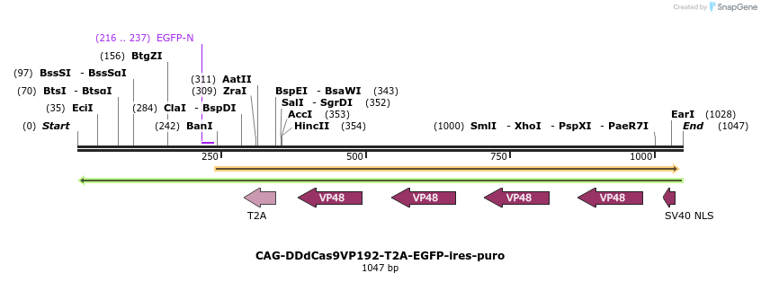 128680_map