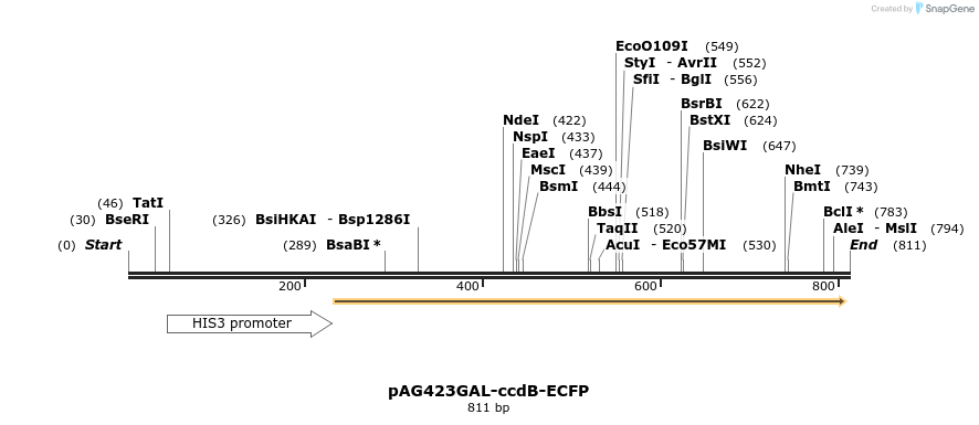 128690_map
