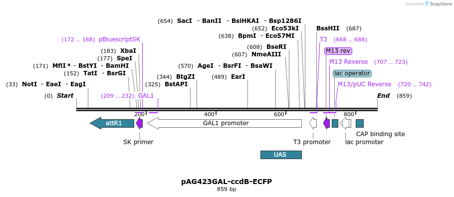 128695_map