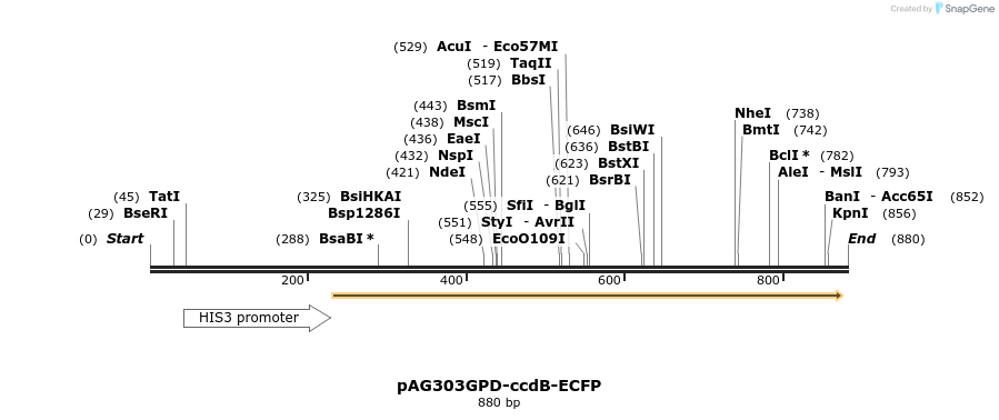 128697_map