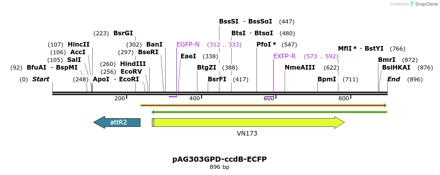 128699_map