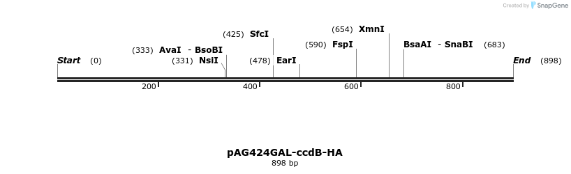 128706_map