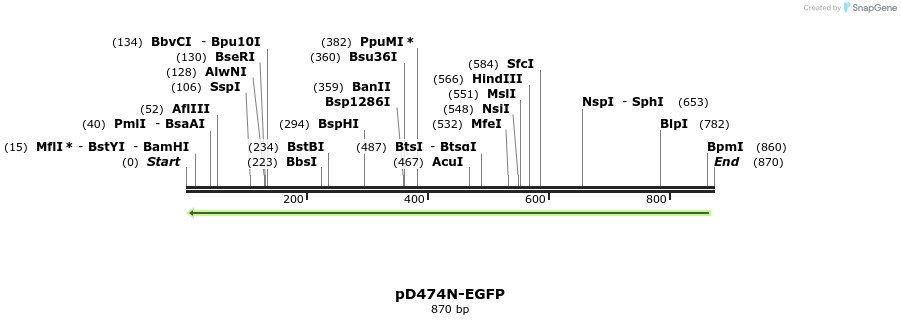 128707_map