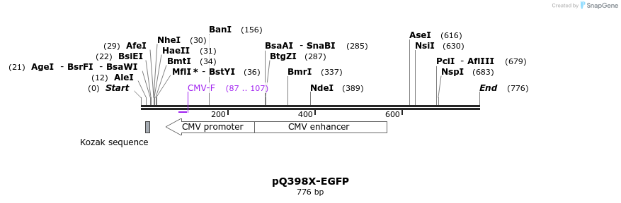 128708_map