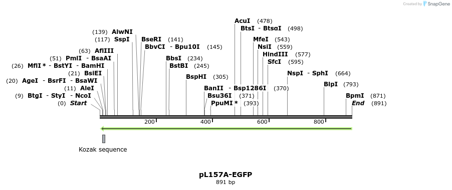 128709_map
