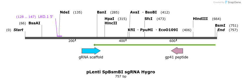 128712_map
