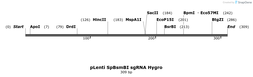 128714_map