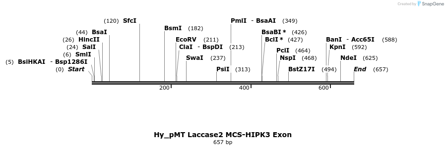 128715_map