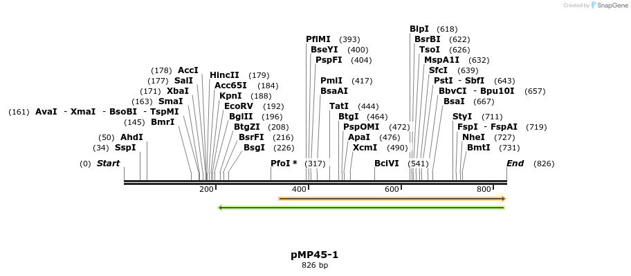 128717_map