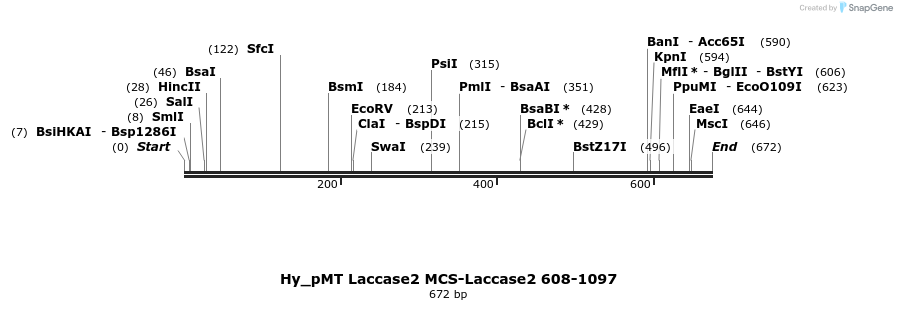 128719_map