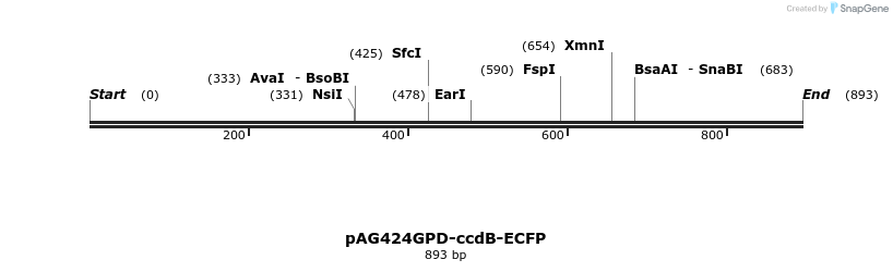 128728_map