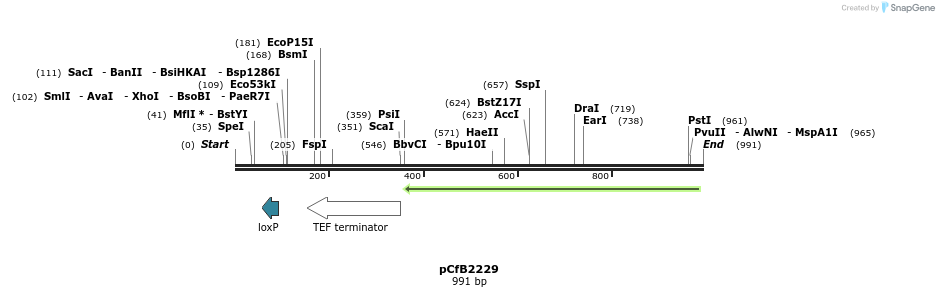 128751_map