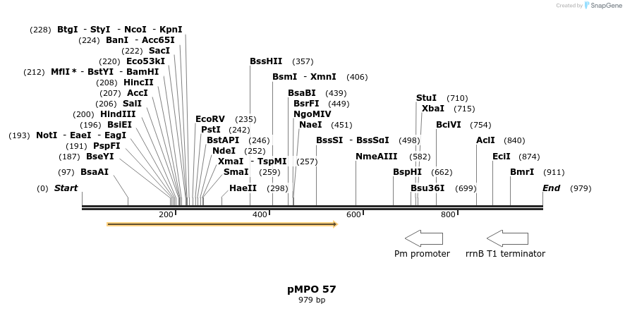 128756_map
