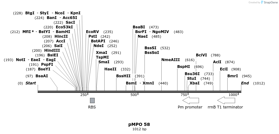 128758_map