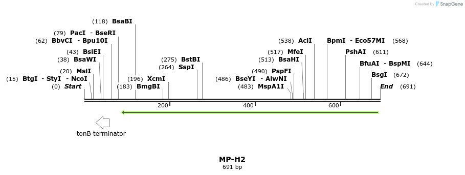 128763_map