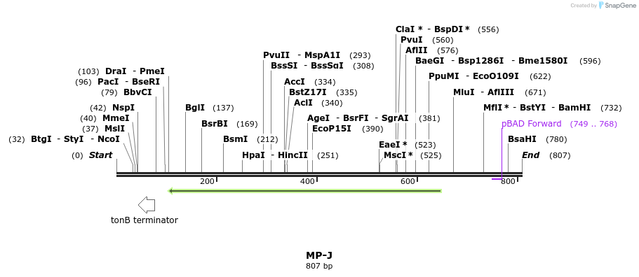 128765_map