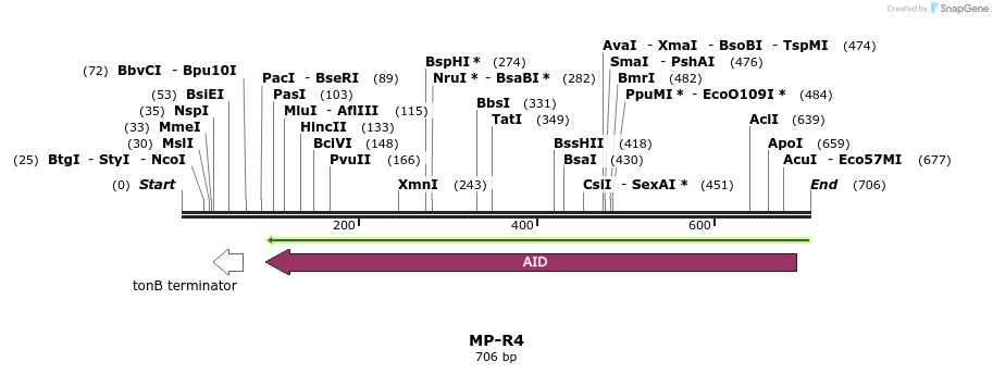 128768_map
