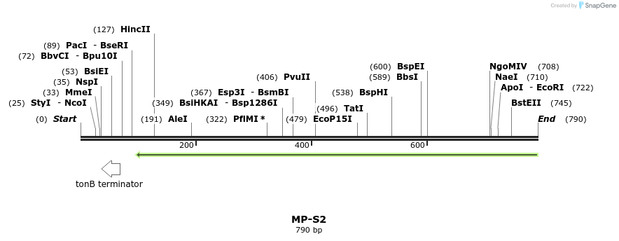 128769_map