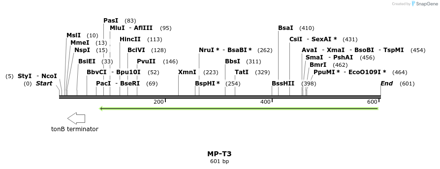 128771_map