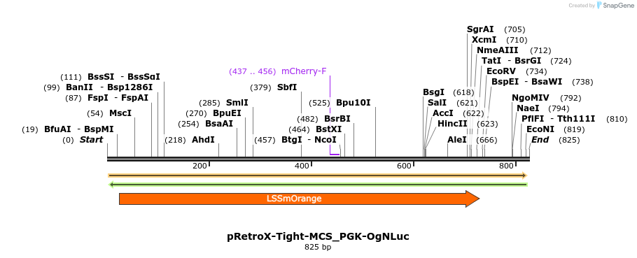 128785_map