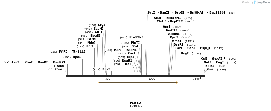 12879_map