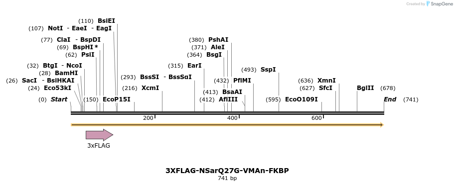128801_map