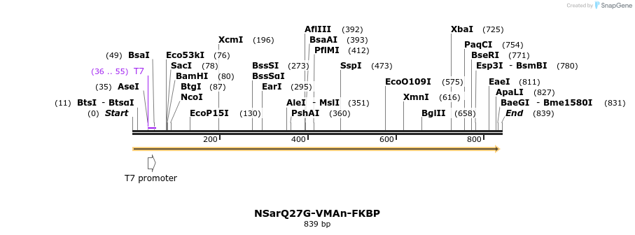 128802_map